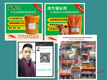 4、 Anglo-Meier 肉牛專用預(yù)混料：什么飼料對(duì)牛有益