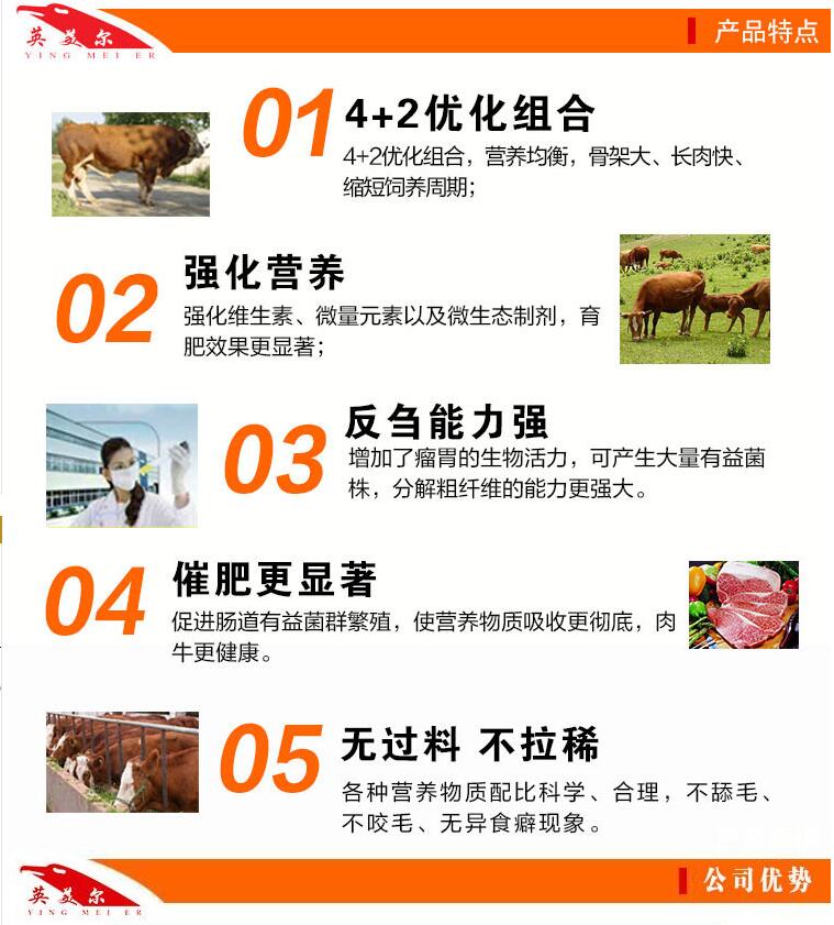 2、一頭奶牛一年應(yīng)該準(zhǔn)備多少飼料？喂食時(shí)如何混合飼料？ 