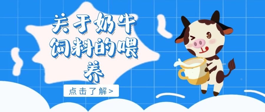 3、奶牛常用的飼料有哪些？ 
