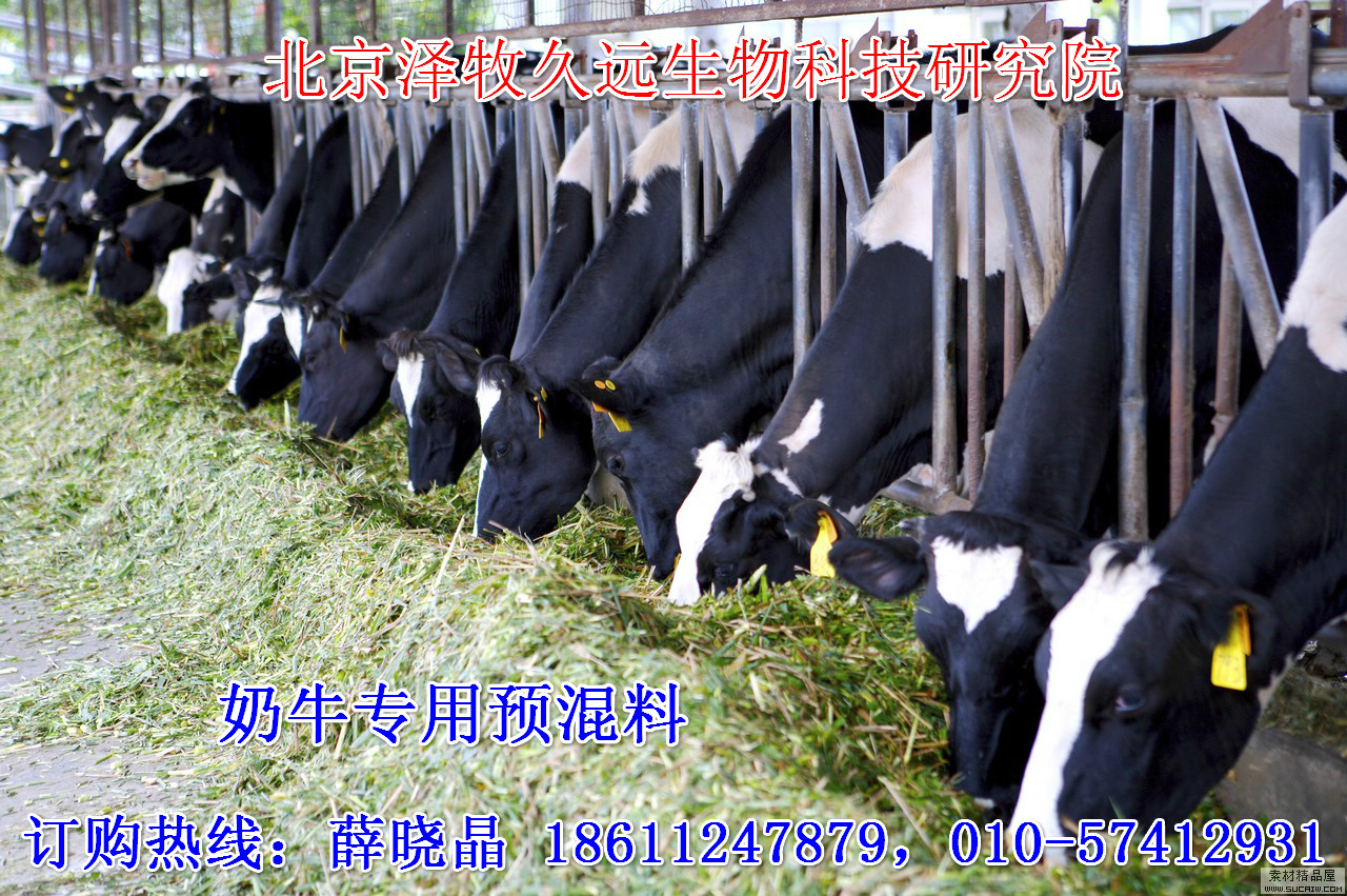 2、奶牛飼料廠有哪些？