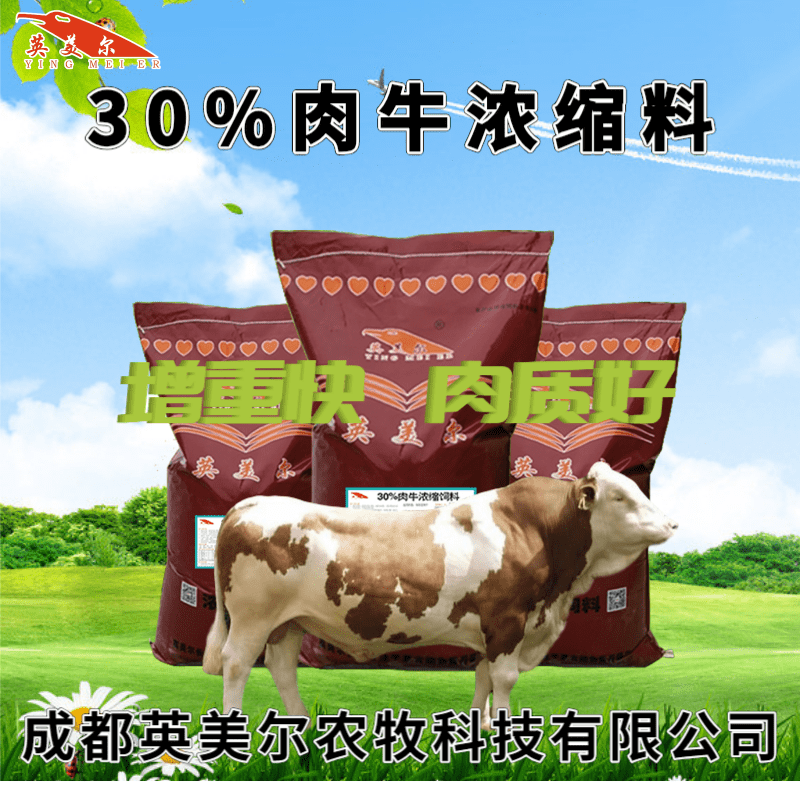 2、養(yǎng)牛用什么飼料好？育肥牛飼料清單